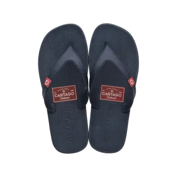 Chinelo Masculino Cartago Dakar 10738 (R$19,90 X 12 PARES)(37/44)-AZUL/AZUL/VERMELHO
